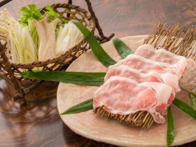 料理 美食と自家源泉を愉しむ静寂の宿　秘湯・鷹ノ巣温泉　鷹の巣館の写真