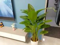 Youwuxuan Homestay (Baijiachong Road)