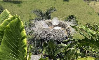 Eco Hotel la Colina Mirador