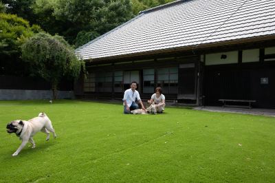 庭 古民家宿るうふ　杉之家の写真