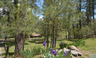 Upper Canyon Inn & Cabins