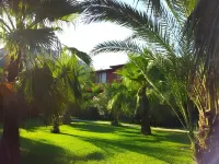 Kutle Hotel