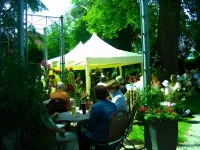 Engel Hotel + Diner Hotels in Aulendorf