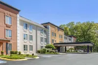Comfort Inn - プール