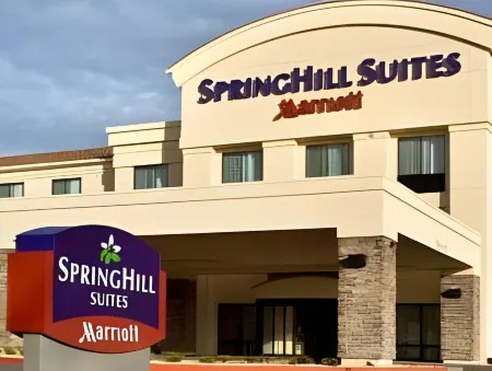 SpringHill Suites Lancaster Palmdale Отели рядом с достопримечательностью «Заказник Прайм Десерт Вудленд»