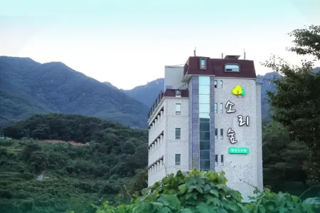 Hapcheon Sori Forest Pension Отели в г. Хапчхон