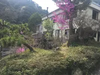 Misuzuso