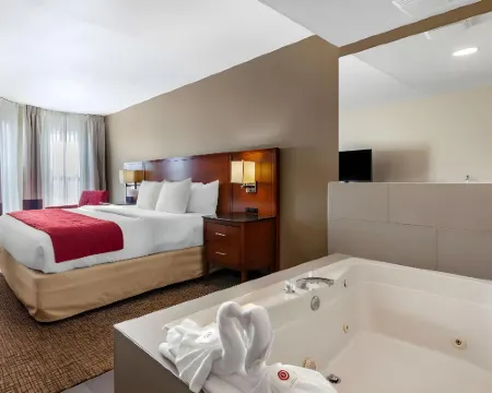 Comfort Inn & Suites Geneva- West Chicago Hotels in Kane County