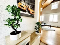 Einzigartige Schöne Altbau- Wohnung Im Zentrum