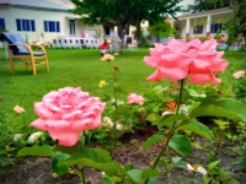 マディナホテル2 ギルギットのホテル