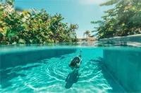 Palmaïa the House of AïA All Inclusive Wellness Resort - Ocean View