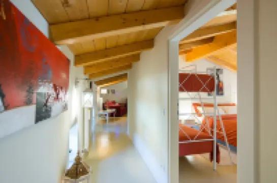 Ancient Grape Dryer in Valpolicella