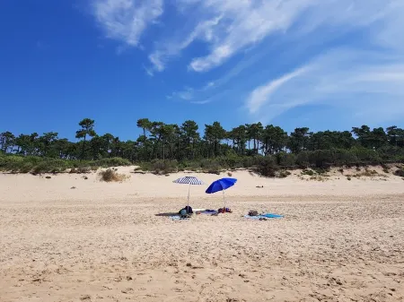 Spacious, recently converted Charentais farmhouse in small commune