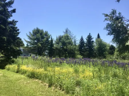 Family-Friendly Home In Coastal Maine