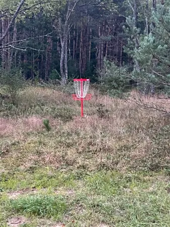 First Cabin On The Right Отели рядом с достопримечательностью «Парк штата Ньюейго»