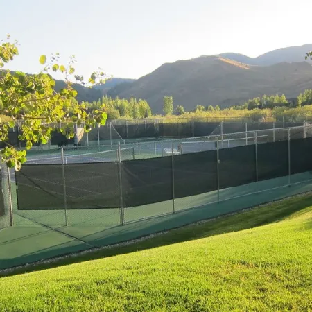 Ski bus stops at front door, court sports and indoor game room, bike path