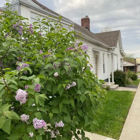 Toliver Guest House, Premier location on Main Street! Newly remodeled-spacious.