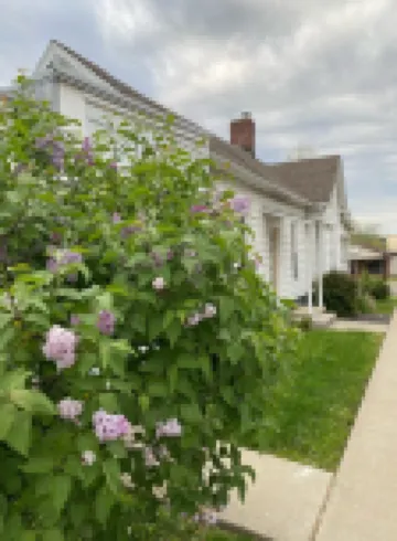 Toliver Guest House, Premier location on Main Street!  Newly remodeled-spacious.