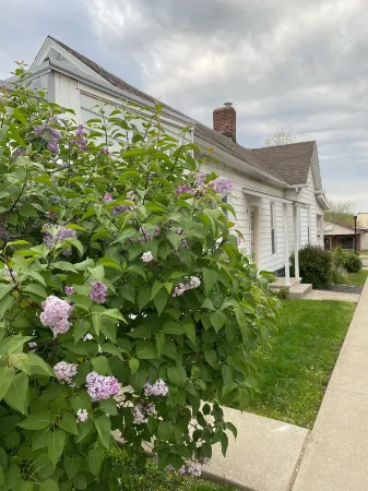 Toliver Guest House, Premier location on Main Street!  Newly remodeled-spacious.