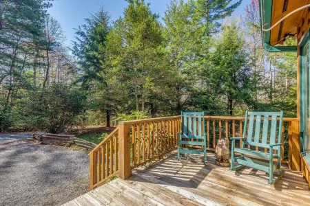 Cozy Mountain Top Cabin 13 Acres Near Dupont State Forest-Pet Friendly-Wifi- EV Отели в г. Данс Рок