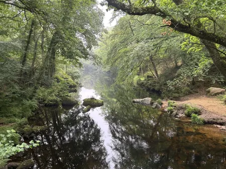 Bijou Cottage in centre of Dartmoor village