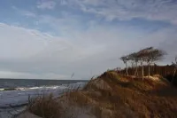 5min beach & forest, sunny, single storey