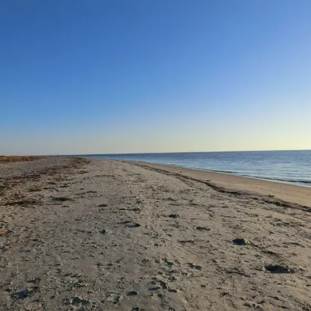 Escape to Your Edisto Beach Oasis with a Private Pool and Scenic Delights!