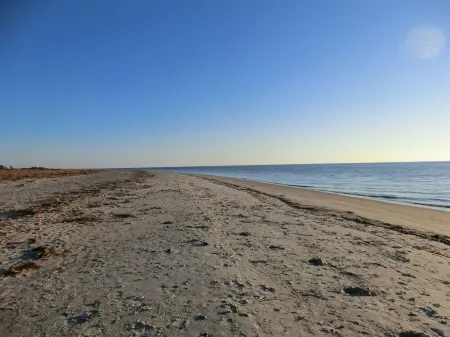 Escape to Your Edisto Beach Oasis with a Private Pool and Scenic Delights!
