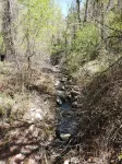 Needle Rock Cabin on 80 acres!