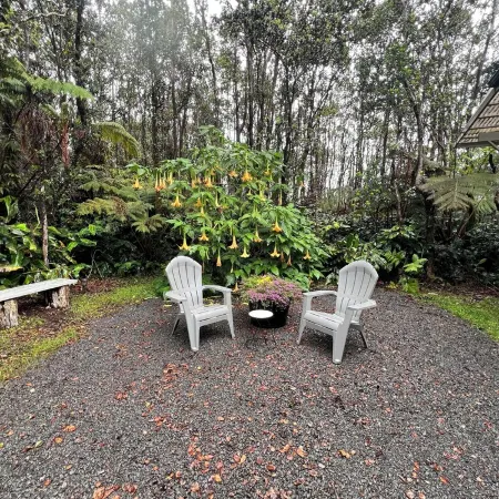 Hale Malie - a peaceful rainforest retreat minutes from Volcano National Park!