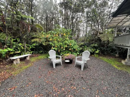 Hale Malie - a peaceful rainforest retreat minutes from Volcano National Park!