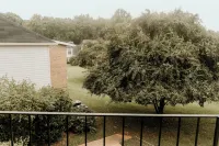 Cozy 2-bedroom condo in heart of Charlotte with AC, WiFi