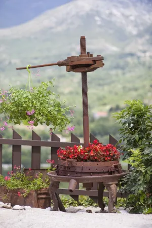 Villa Attilio: relaxation and nature!