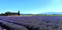 L'Instant Provence