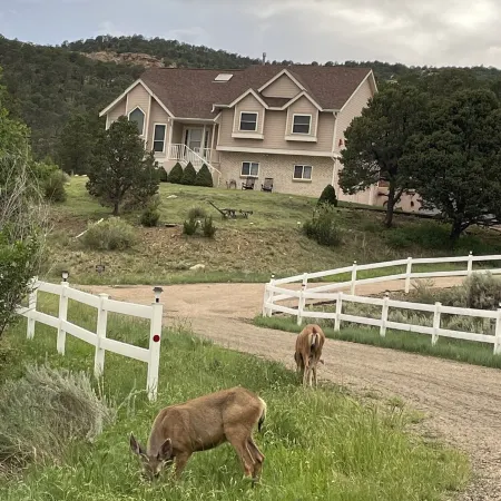 Black Bear Ridge Vacation Home