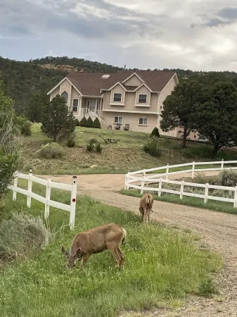 Black Bear Ridge Vacation Home