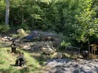 Luxury Spacious Secluded Cabin HotTub  4 Bedrooms 3-Story Sleep 12 Hotels near Talking Turkey Studio
