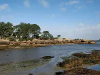 House 10/12 people with studio by the sea in TREGASTEL