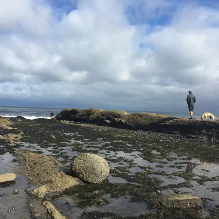 Stay at the BEST Olympic Peninsula Ocean Beach Retreat!