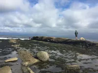 Stay at the BEST Olympic Peninsula Ocean Beach Retreat!