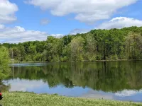 Cozy Cottage on Our Private Lake and 75 Wooded Acres - Alphydda