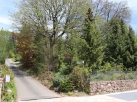 Forsthaus Zerbe / Espenschied, newly renovated with spacious garden Hotels in Dahn