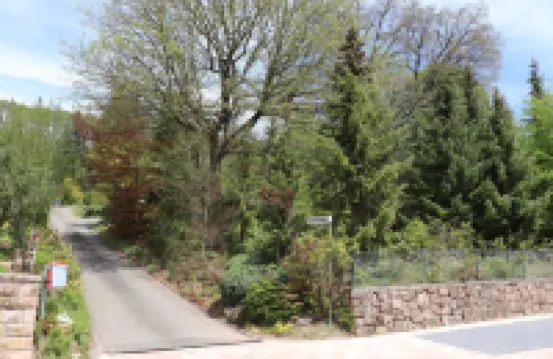 Forsthaus Zerbe / Espenschied, newly renovated with spacious garden Hotels in Dahn