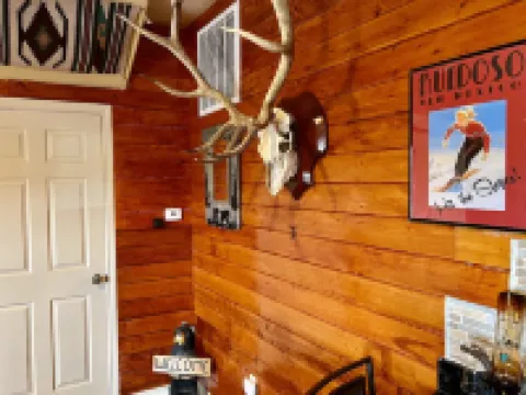 Large 700Sft Downstairs Rental.1 Bedroom 1 Bedroom. No Other Guests on Property