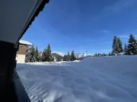 Reindeer forest apartment