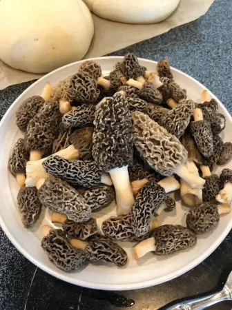 Unique Log Cabin Retreat on 138 Acres, swim, fish, boat, paddleboard, kayak!