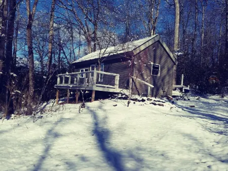 Cabin with two trout rivers onsite. Brevard and Pisgah National Forest close by.