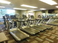 Spectacular Ocean View, Privacy, Sunsets & Whales from Lanai, Konea Tower #544