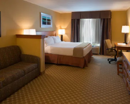 Holiday Inn Express & Suites CHICAGO WEST-ROSELLE by IHG Hotels in Roselle
