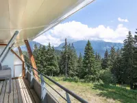 V du Bachat - SILENE D